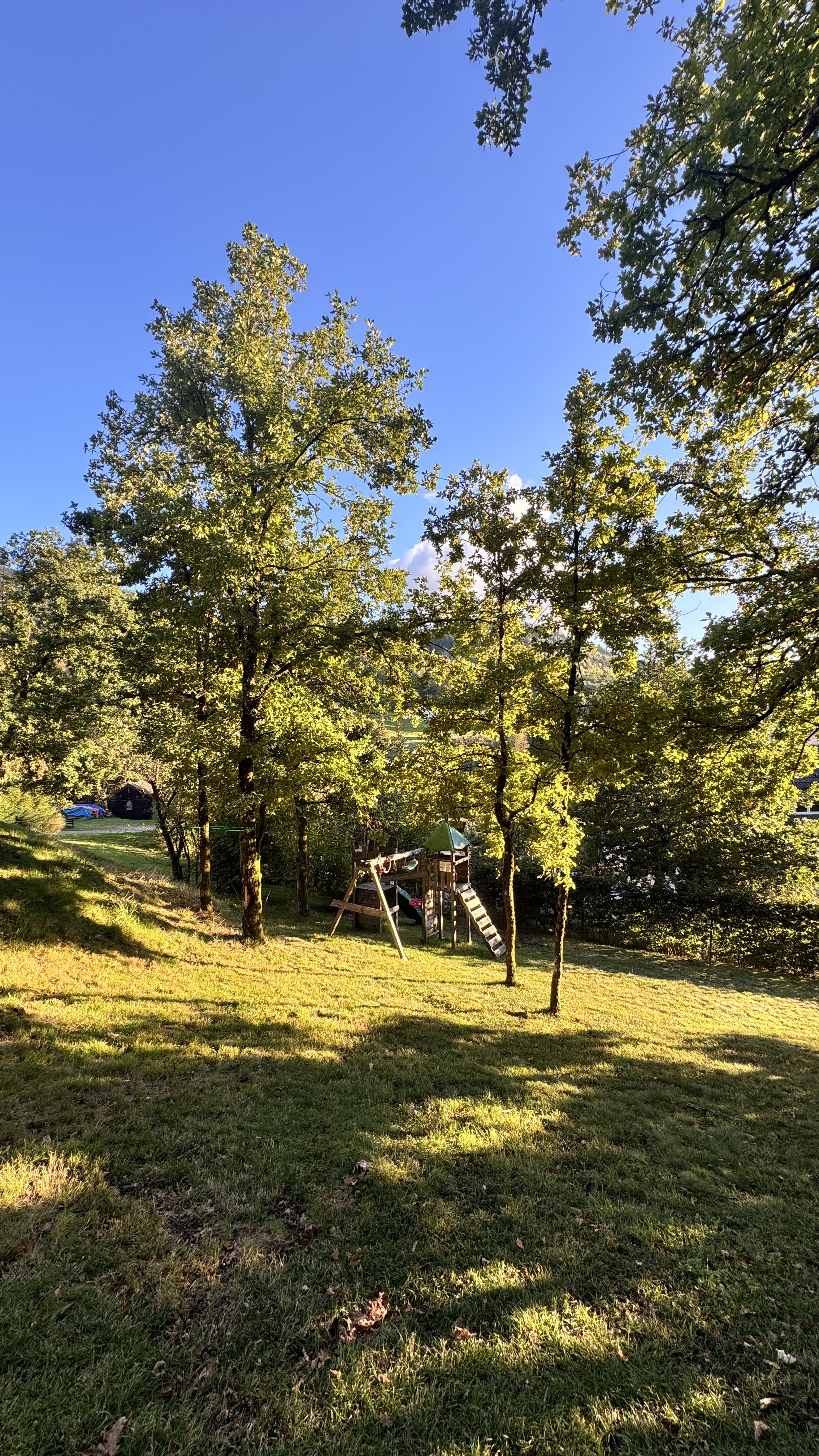 Module jardin Woodibox