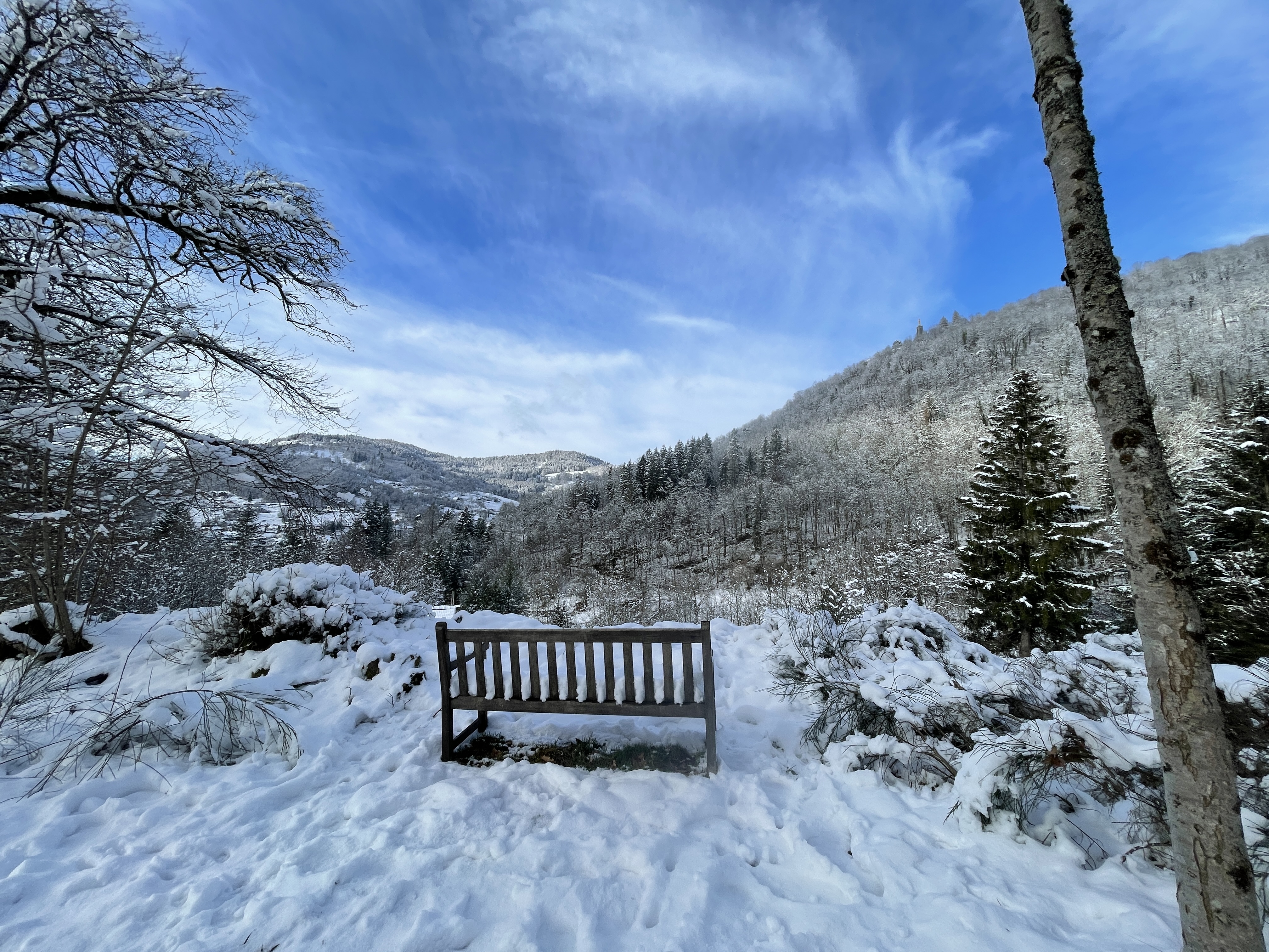 Vue hivernale Vosges